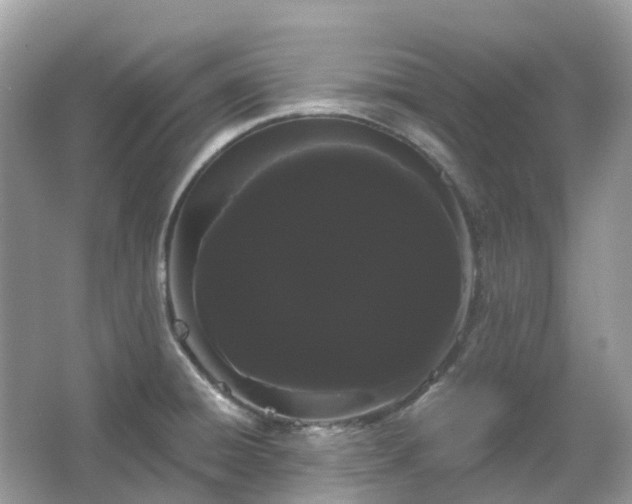 X0000066121428200603131316