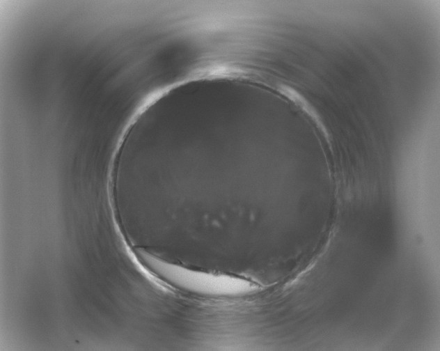 X0000066121429200603131316