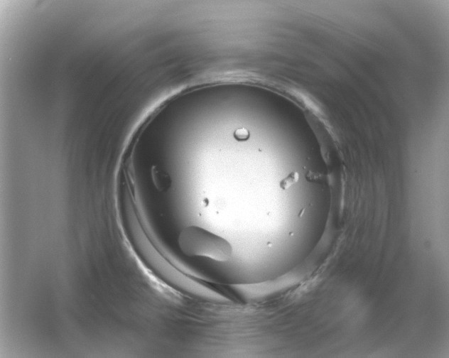 X0000066121430200603131316