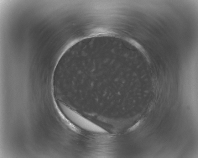 X0000066121431200603131316