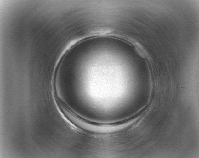 X0000066121432200603131316