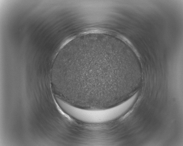 X0000066121433200603131316