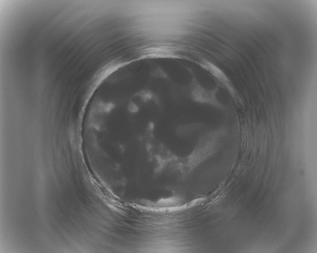 X0000066121435200603131316