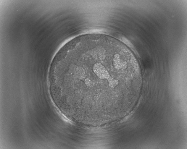 X0000066121436200603131316