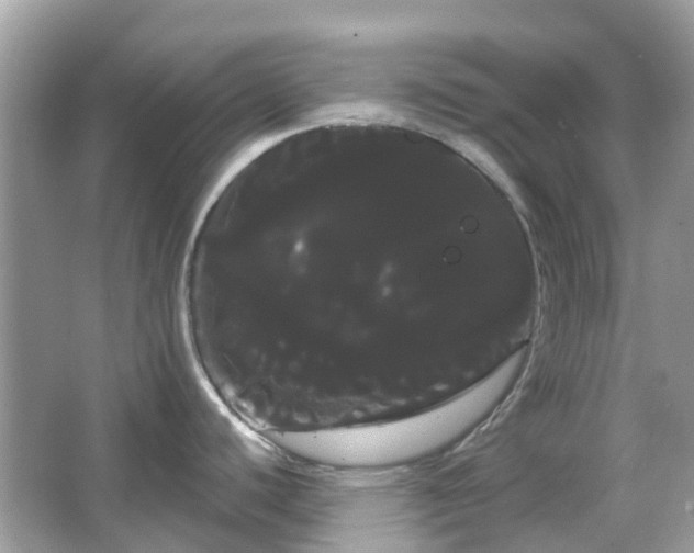 X0000066121440200603131317