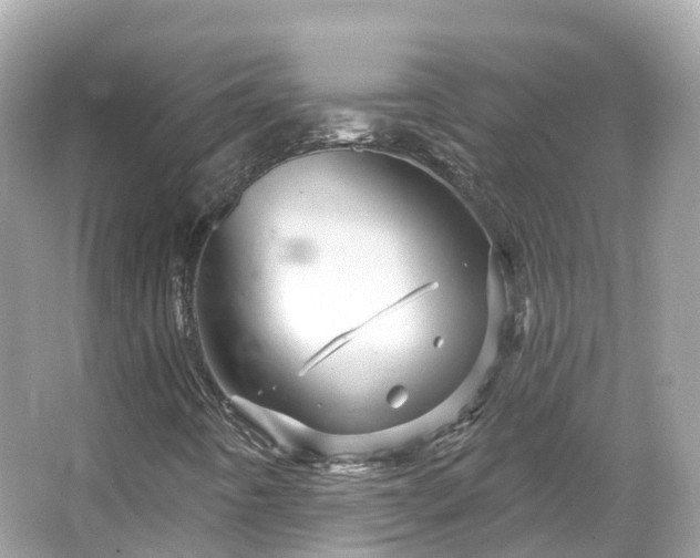 X0000066121442200603131316