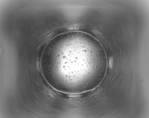 X0000066121444200603131316