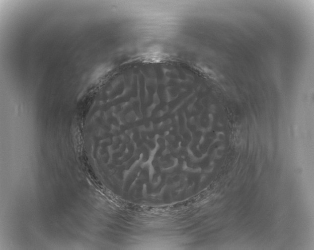 X0000066121446200603131316