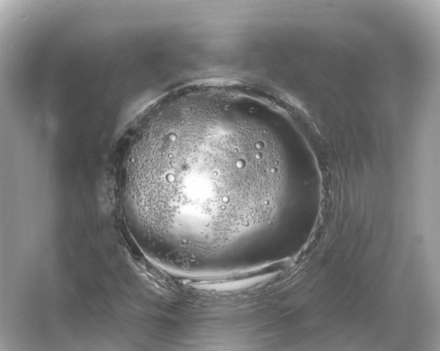 X0000066121448200603131316