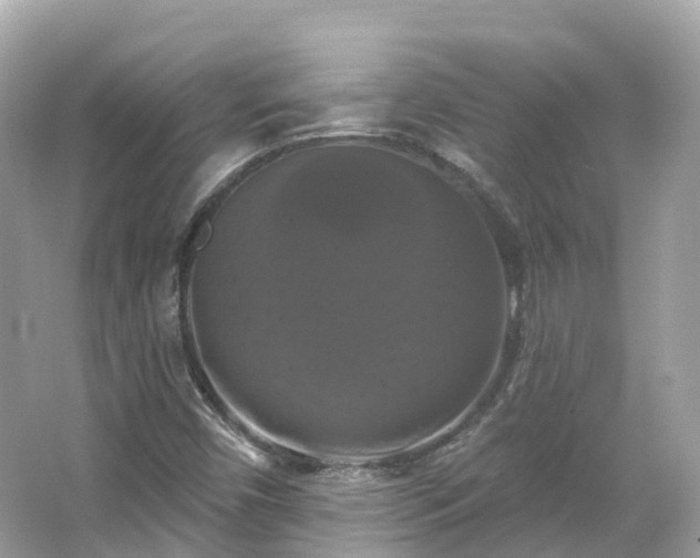 X0000066121450200603131316