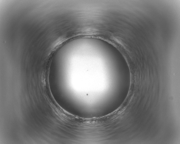 X0000066121451200603131316