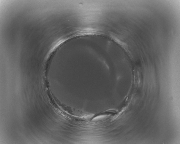 X0000066121453200603131316