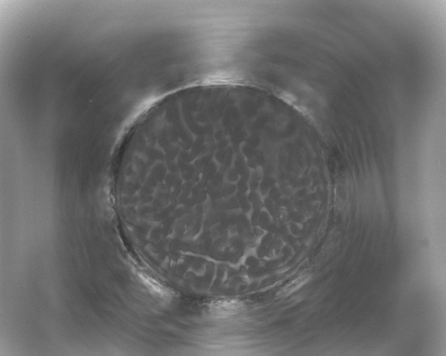 X0000066121454200603131315