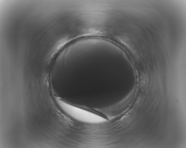 X0000066121455200603131315