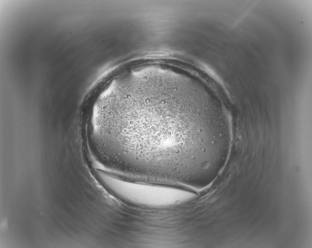 X0000066121456200603131315