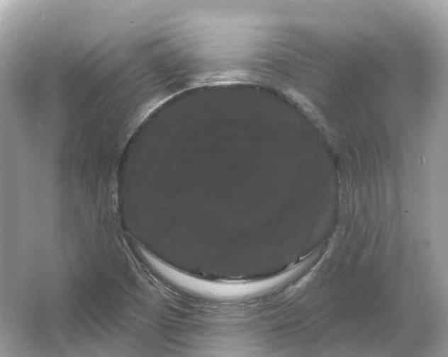 X0000066121457200603131315