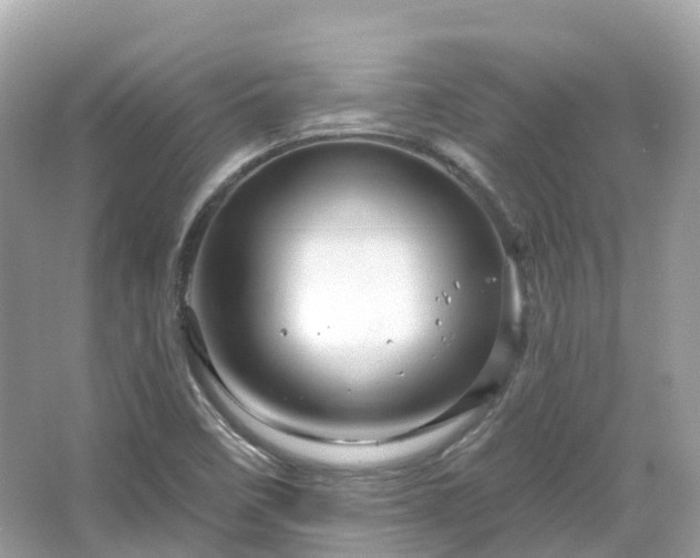 X0000066121458200603131315