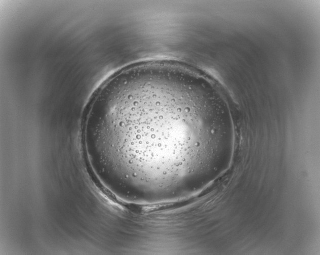 X0000066121460200603131315