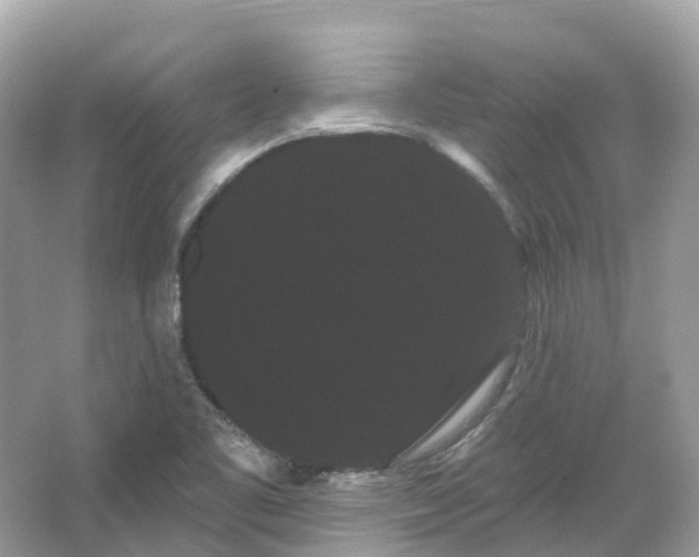 X0000066121461200603131315