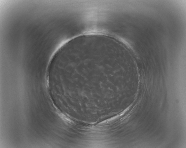 X0000066121462200603131315