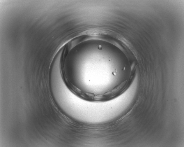 X0000066121465200603131315