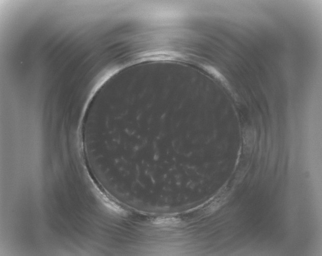 X0000066121466200603131315