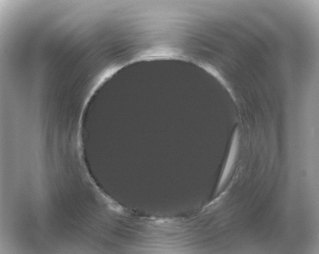 X0000066121469200603131315