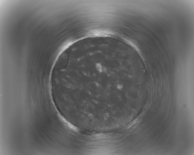 X0000066121471200603131315