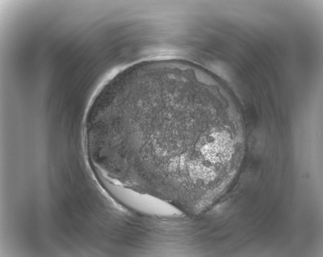 X0000066121472200603131315