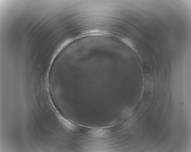 X0000066121474200603131315