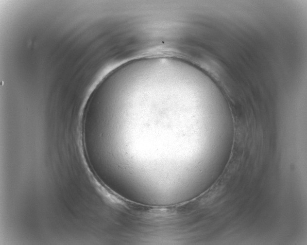 X0000066121478200603131315