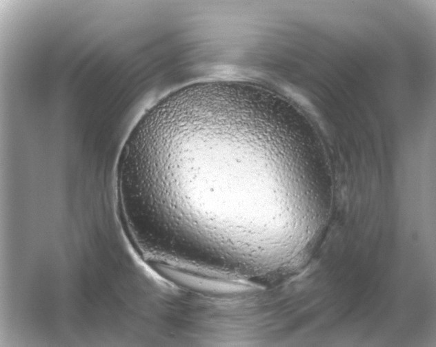 X0000066121479200603131315