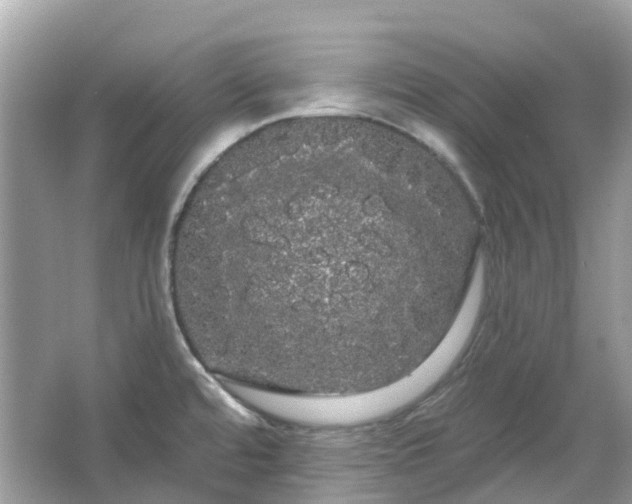 X0000066121480200603131315