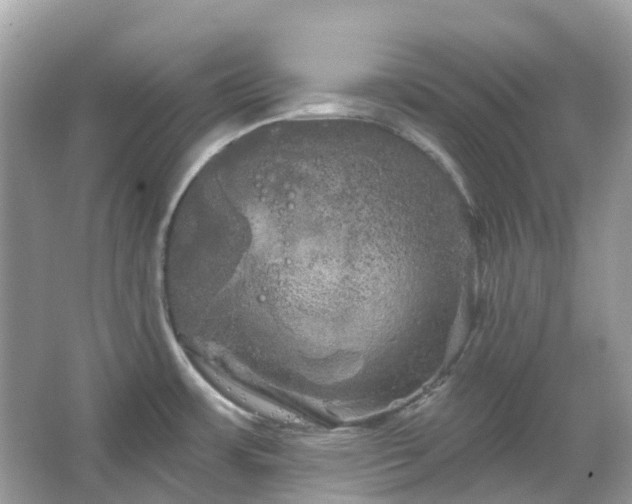 X0000066121483200603131315