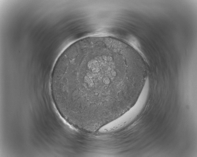 X0000066121484200603131315