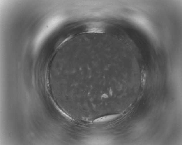 X0000066121487200603131315