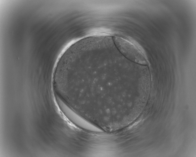 X0000066121488200603131315