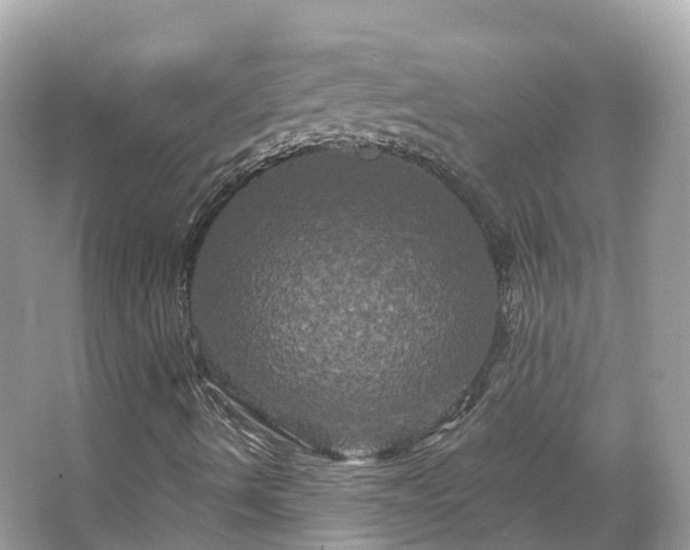 X0000066121490200603131314