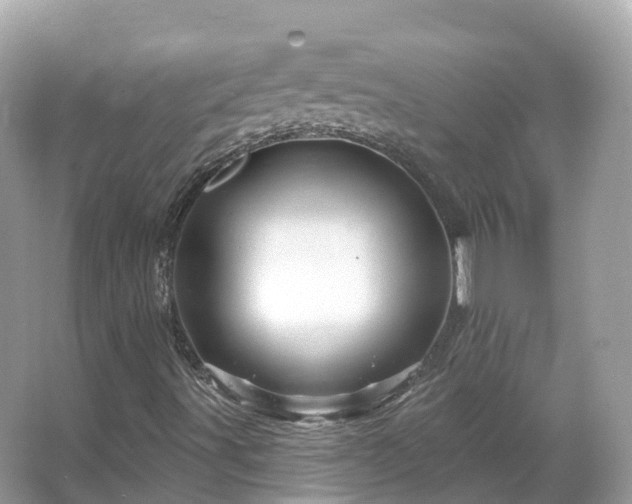 X0000066121491200603131314