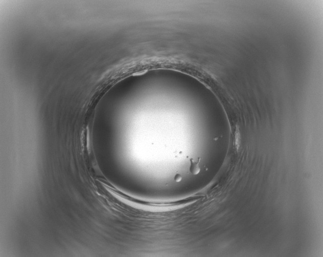 X0000066121492200603131314