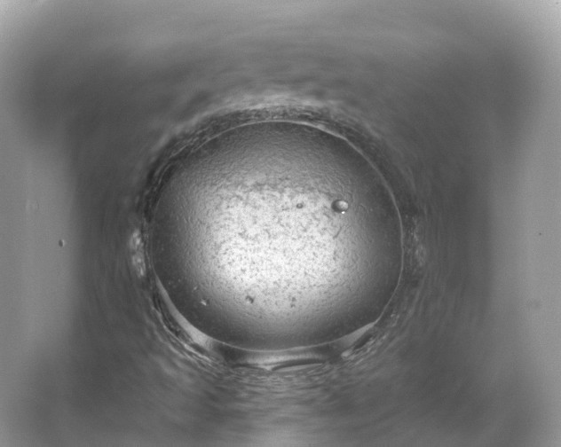 X0000066121493200603131314