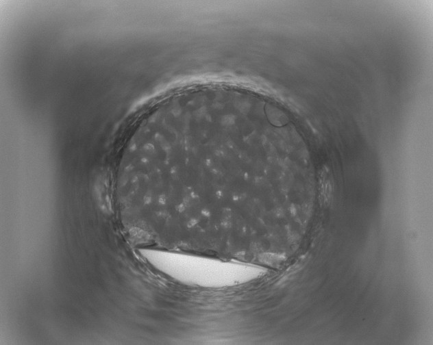 X0000066121494200603131314