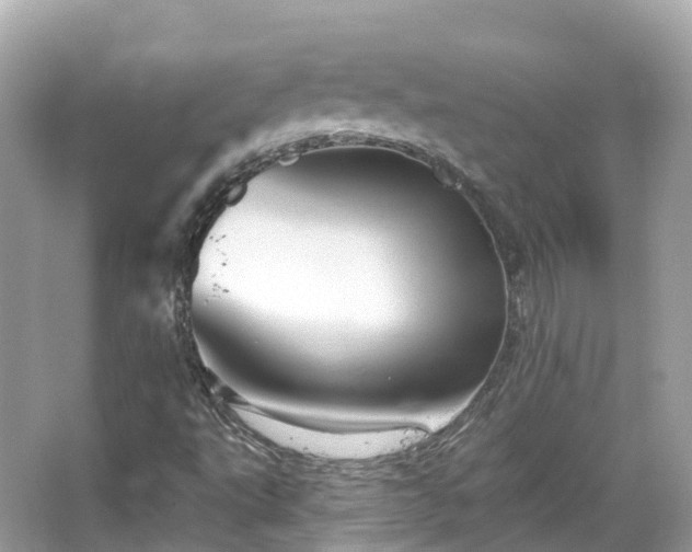 X0000066121495200603131314