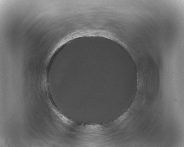 X0000066121498200603131314