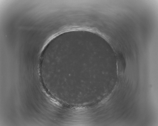 X0000066121501200603131314