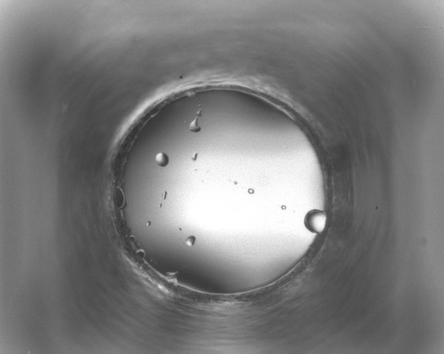 X0000066121502200603131314