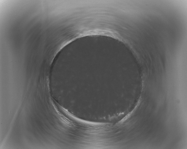 X0000066121505200603131314