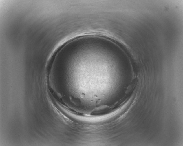 X0000066121506200603131314