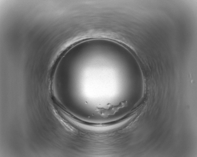 X0000066121507200603131314