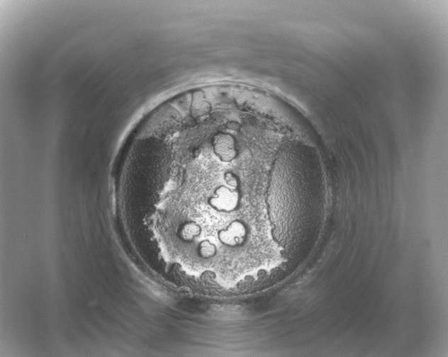 X0000066121509200603131314